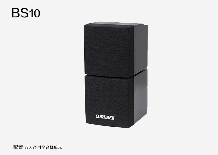 BS-10