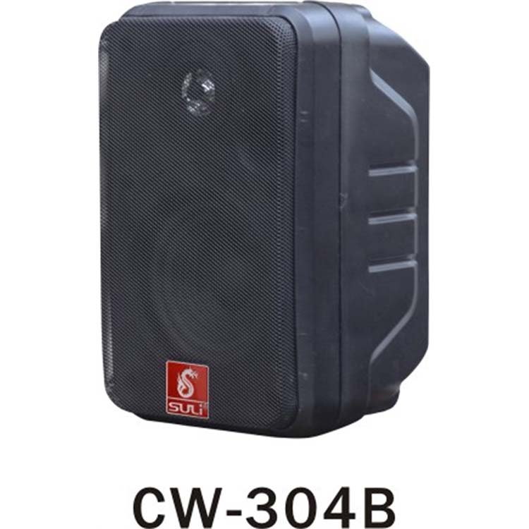 時(shí)尚壁掛音箱CW-304B